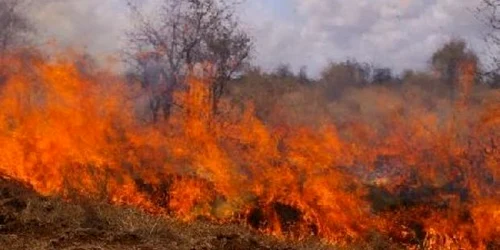 Femeia dăduse foc la vegetaţia uscată de pe terenul ei
