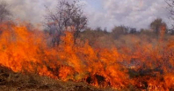 Femeia dăduse foc la vegetaţia uscată de pe terenul ei