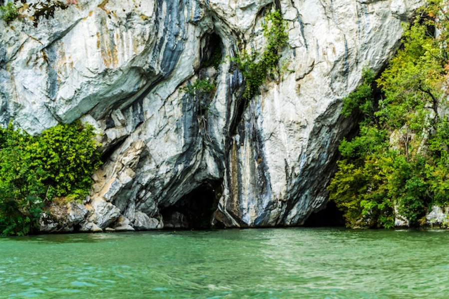 Dreptul la existență - Campania care vrea să confere naturii un statut juridic
