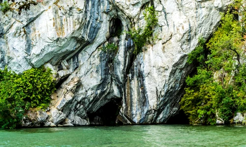 Natură - Shutterstock