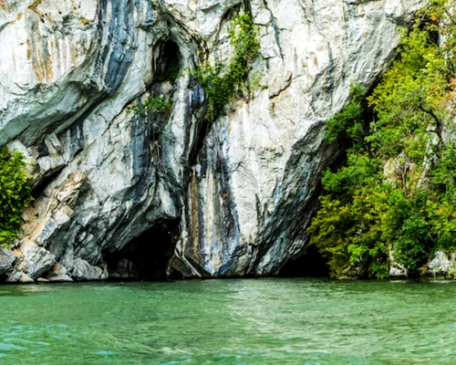 Natură - Shutterstock