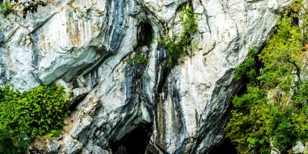 Natură - Shutterstock