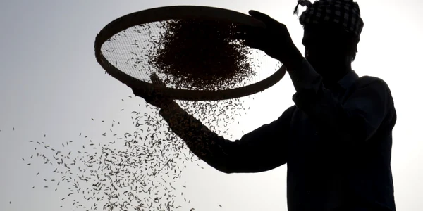 Un muncitor indian cerne orez într-o piaţă de cereale în Amritsar India FOTO EPA-EFE / Raminder Pal Singh
