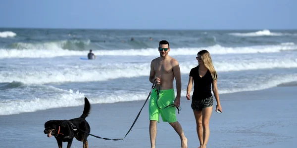 Plajele s-au redeschis în Florida SUA pentru plimbare şi sport FOTO Guliver Getty Images / Sam Greenwood