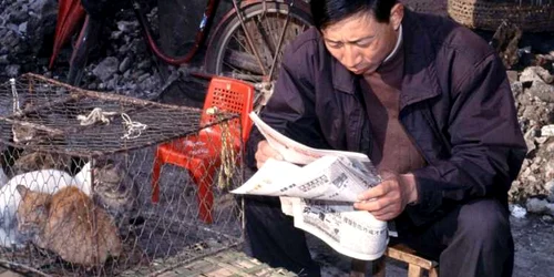 Marfă - vânzare - piaţă Wuhan / FOTO Profimedia