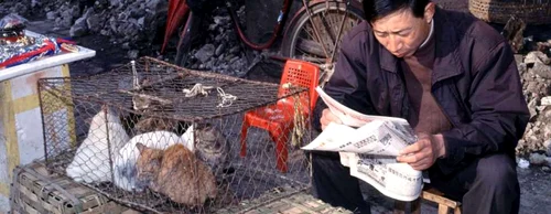 Marfă - vânzare - piaţă Wuhan / FOTO Profimedia