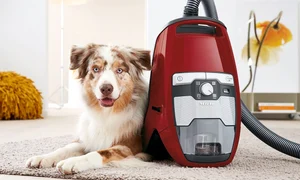 1 avantaje ale unui aspirator fara sac jpg jpeg