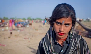 tiganca google translate jpeg