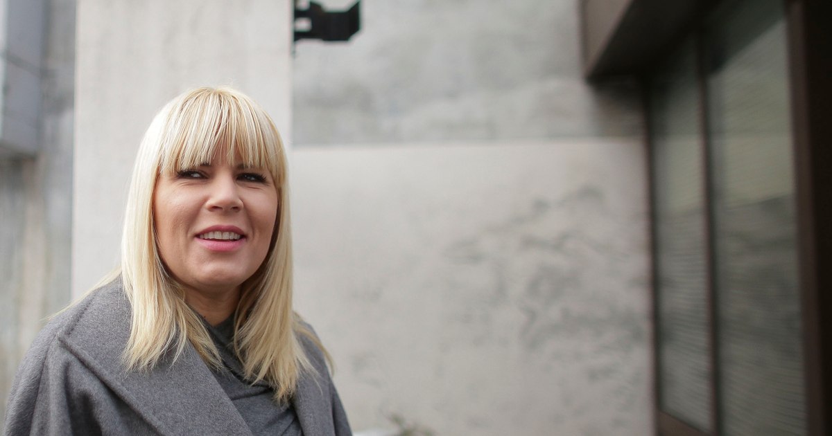 Udrea scapă definitiv de acuzaţii în dosarul Hidroelectrica privind mita de cinci milioane de dolari. Faptele s-au prescris