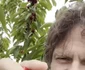 Florin Piersic Jr. s-a filmat în timp ce punea cireșele în găletușă 