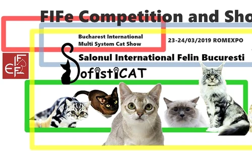 1 85494 original jpg jpeg