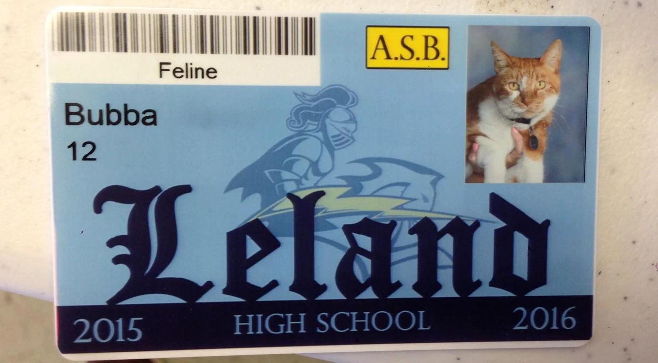 
    Pisica Bubba are certificat de elev la Liceul Leland din San Jose, Statele Unite ale Americiifoto: Arhiva Personală  
