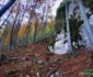 Drumul spre peștera din Valea Rea Foto Daniel Guță (30) jpg