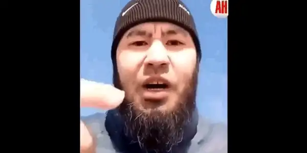 prpagandist gif gif