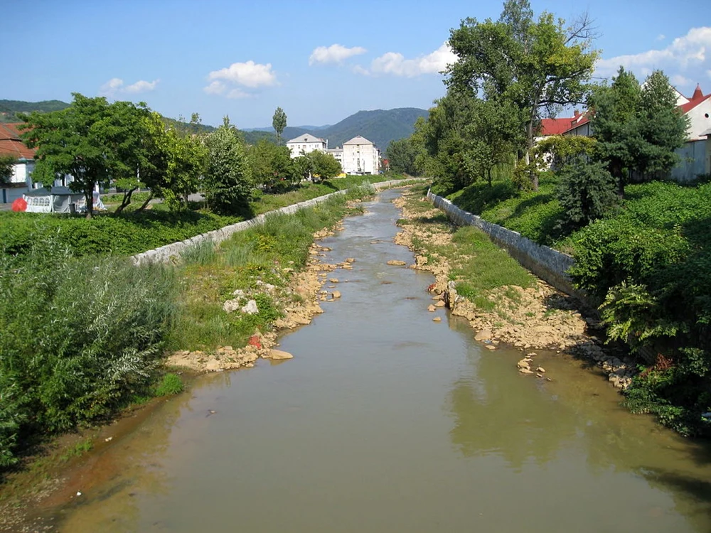 Râul Săsar, într-o zi obişnuită FOTO Wikipedia