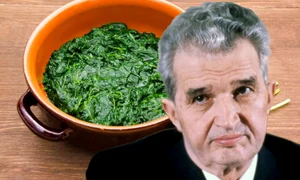 mancare de spanac e1582825550308 logo webp