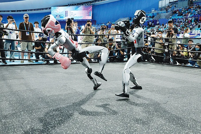 Roboţii umanoizi  s-au luptat în ring. SURSĂ FOTO: PROFIMEDIA