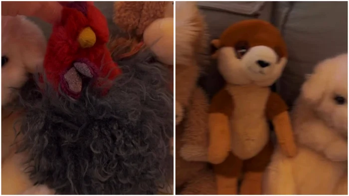 Poza pentru articolul Gina Pistol, moment sensibil pe internet. Ce dezvăluiri a făcut despre fiica ei și motanul Gogoșică