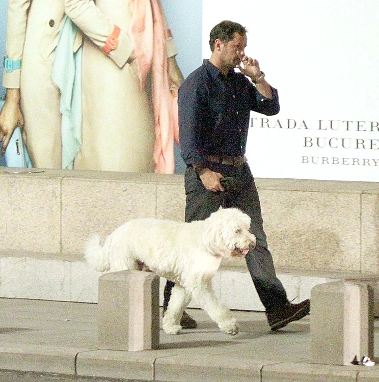 Au făcut o plimbare şi pe Calea Victoriei