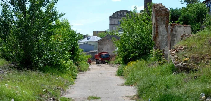 Terenul fostei Secţii de Mobilă a PAL SA a fost vândut, după ce ani de zile a arătat ca un adevărat maidan FOTO Florentin Coman