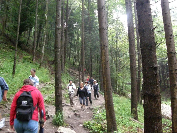 Turiştii sunt aşteptaţi să se relaxeze în natură. FOTOArhivă.