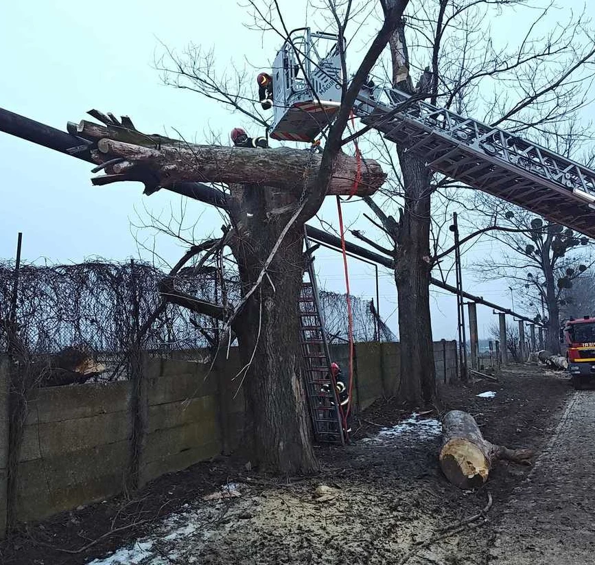 Misiune de salvare la În Neamț: persoană prinsă sub un copac, trunchiul căzut peste o țeavă de gaz. Victima, transportată la spital