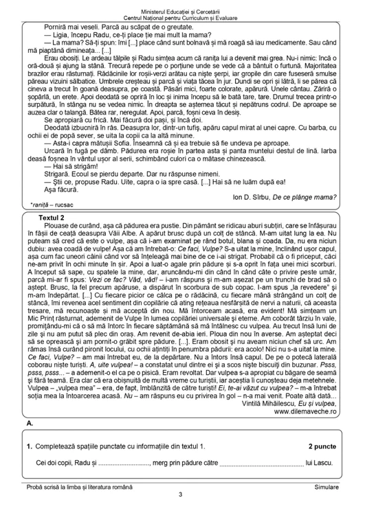 Subiecte Romana Simulare 2 jpg