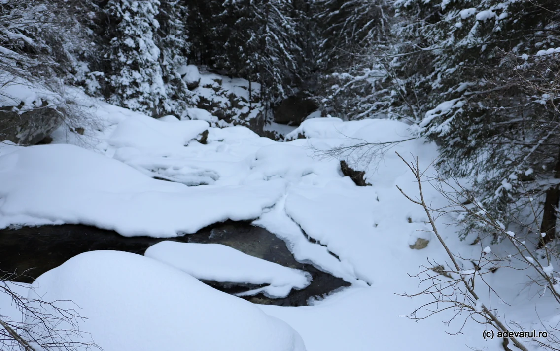 Cascada lolaia din Retezat, iarna Foto Daniel Guță ADEVĂRUL (10) JPG