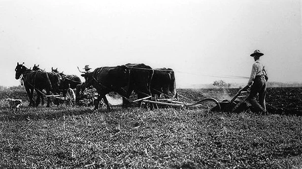 Agricultura în Plasa Costeşti a anului 1943 studiu de caz jpeg