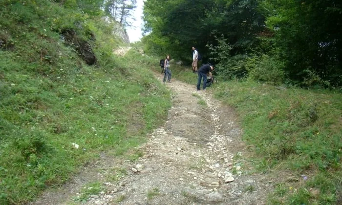Începe a doua ediţie a Universităţii de Vară   Pe Drumurile Romane în Ţara Moţilor jpeg