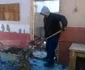 Ce a rămas în urma tragediei de la adăpostul de câini Danyflor