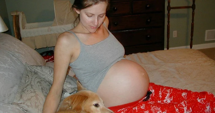 Reprezentanţii Mitropoliei susţin că „piaţa serviciilor reproductive“ contravine învăţăturilor ortodoxe Foto: Adevărul