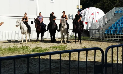 Primul spectacol al Circului Metropolitan din această stagiune aduce la rampă dresurile de cai jpeg