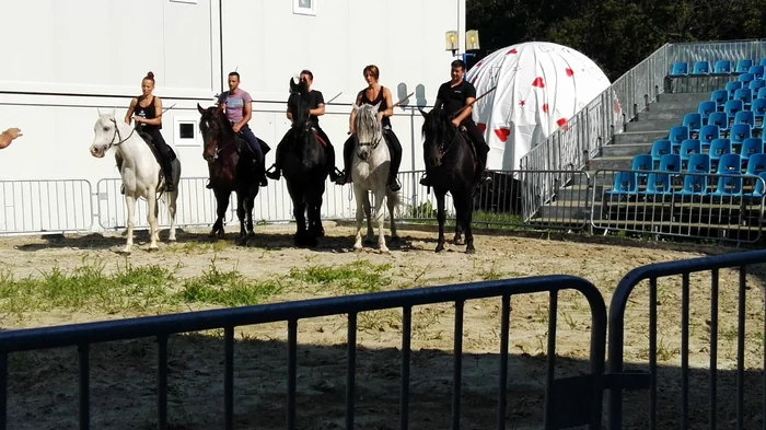 Primul spectacol al Circului Metropolitan din această stagiune aduce la rampă dresurile de cai