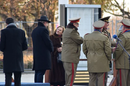 politicieni parada alba