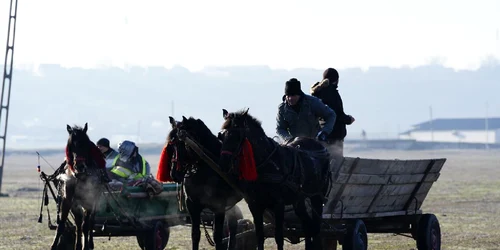 la botezul animalelor vin crescatori din olt, dar si din alte judete   foto ionelia nuca jpeg