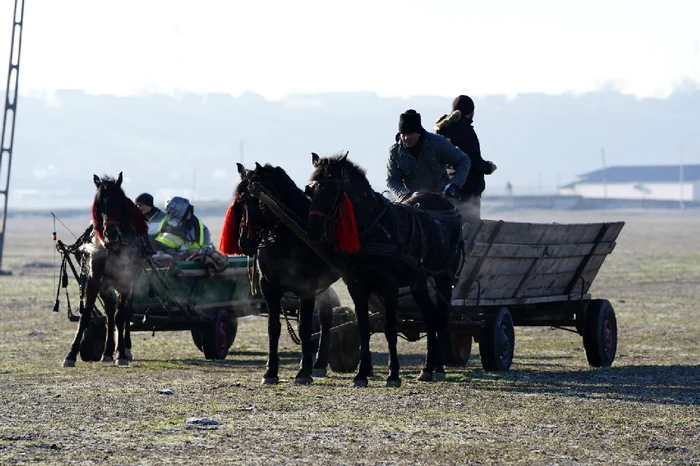 Sărbătoarea de la Vâlcele îi adună pe crescătorii de cai de 13 ani FOTO: Ionelia Nucă