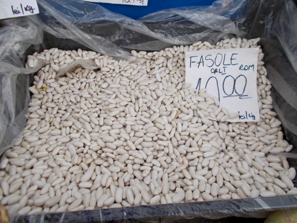 calarasi fasole