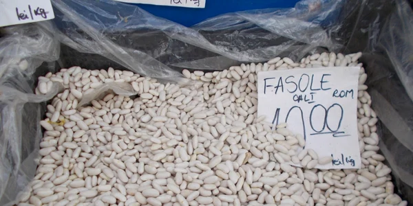 calarasi fasole