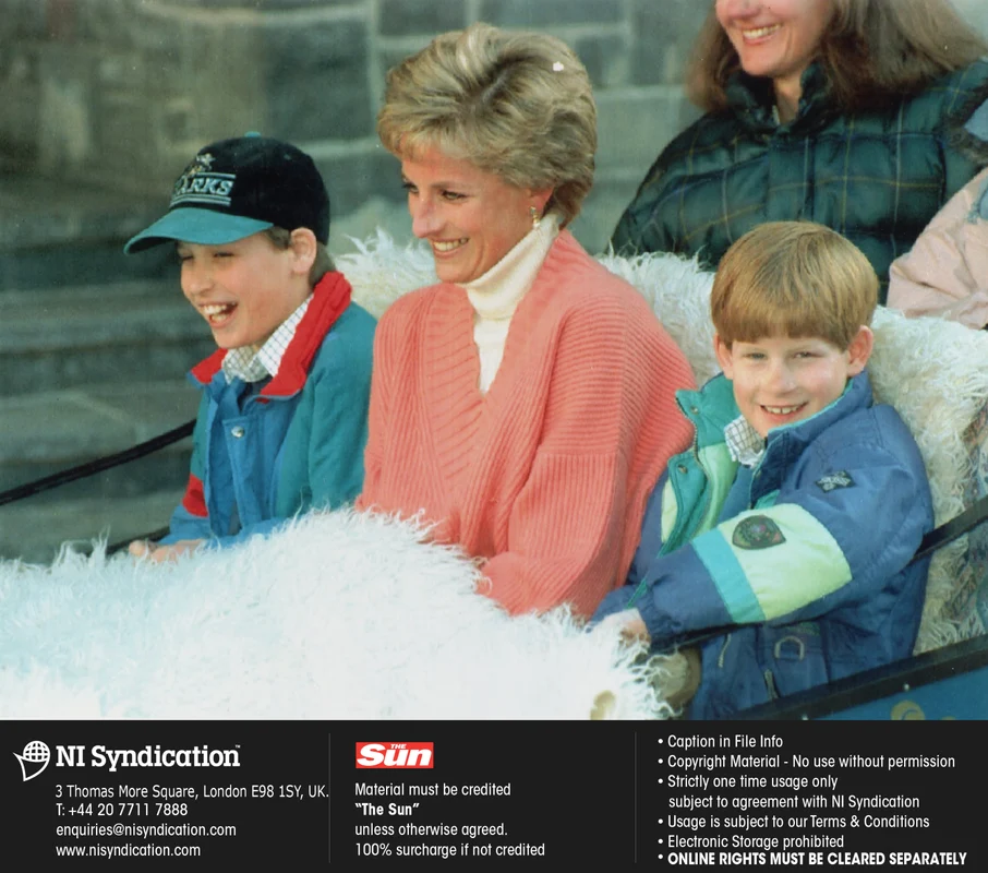 Diana, William și Harry, Profimedia