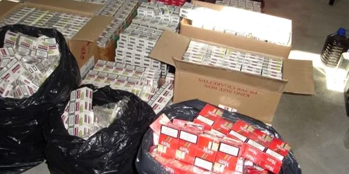 Aproape 8.000 de ţigarete de contrabandă au fost găsite în maşina celor trei tineri