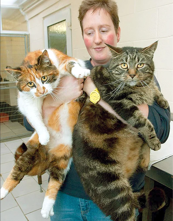 "Tanti, vezi să nu faci hernie! Împreună facem 32 kg!"