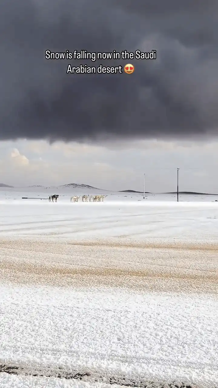 Peisaj neobișnuit în Arabia Saudită: deșertul, acoperit de zăpadă. Reacția localnicilor surprinși de fenomenul rar