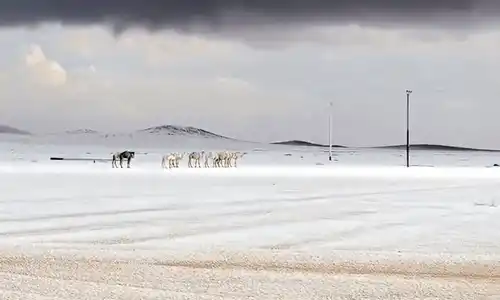 GIF zapada in desert