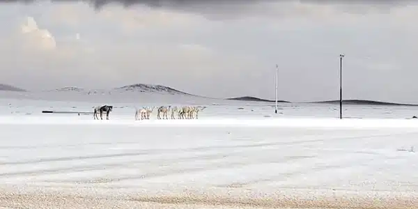 GIF zapada in desert