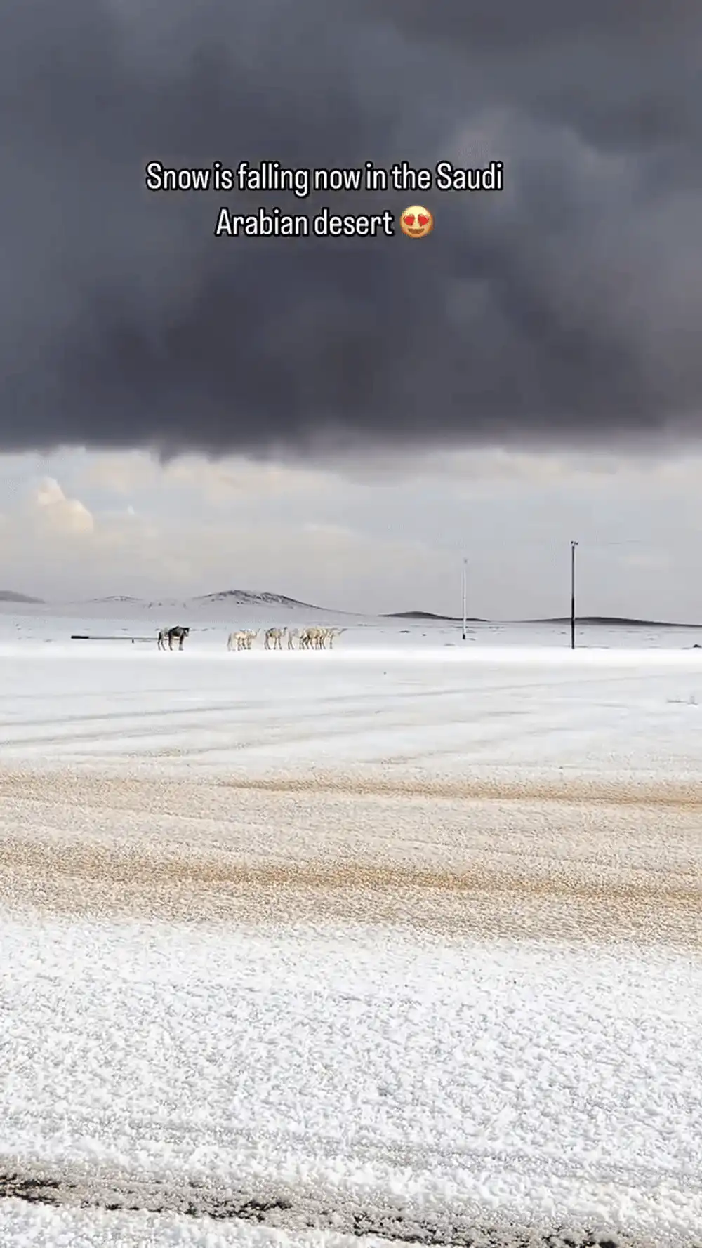 Peisaj neobișnuit în Arabia Saudită: deșertul, acoperit de zăpadă. Reacția localnicilor surprinși de fenomenul rar