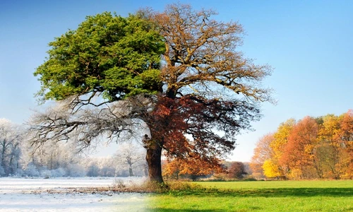 1 82852 original jpg jpeg