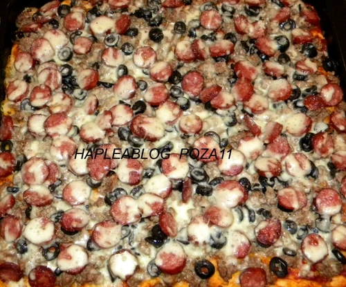 piza carnivora 111 1024x851 jpeg