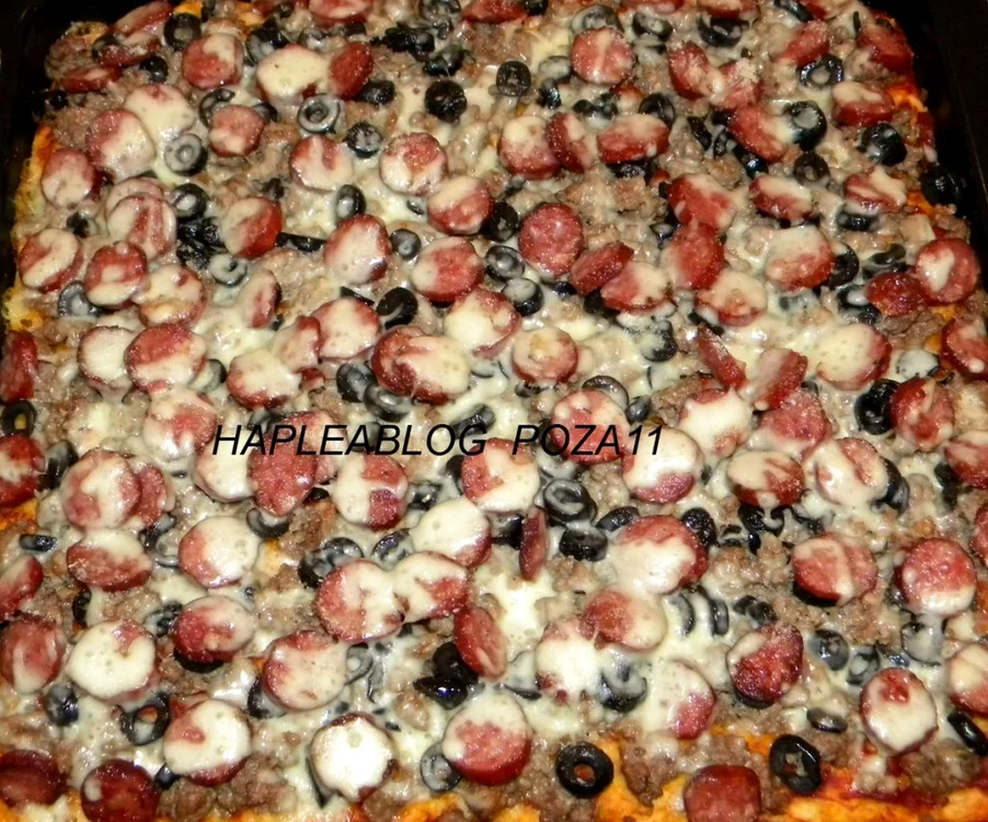 piza carnivora 111 1024x851 jpeg