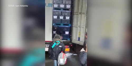 5c4d5db9df52022f750ec8ae jpg